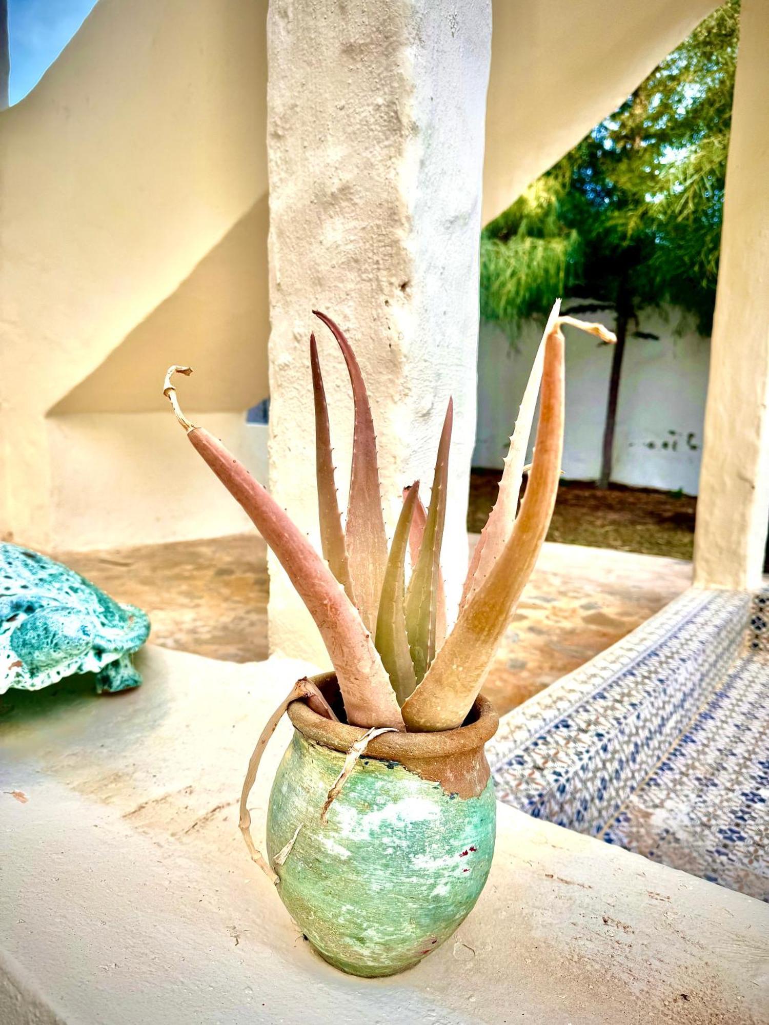 Dar Oueghlani - Maison D'Hotes El May Luaran gambar
